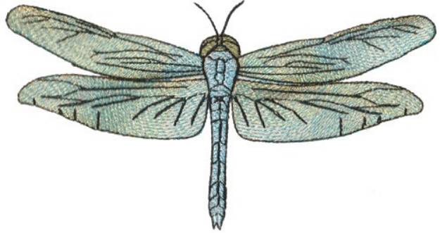 Picture of Shimmer Dragonfly