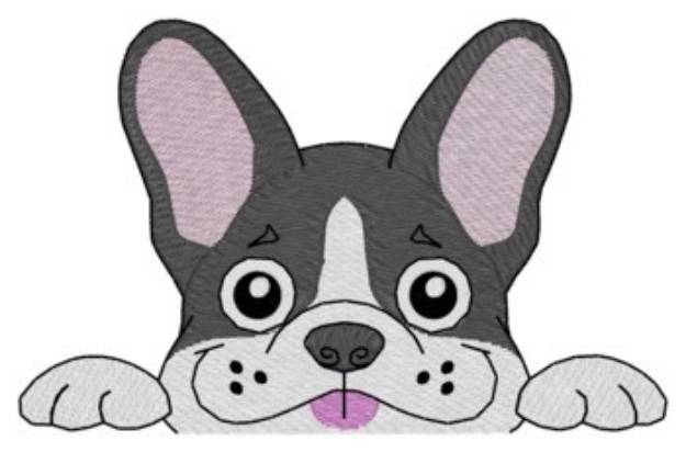 Picture of Boston Terrier Pocket Peeker Machine Embroidery Design