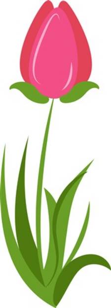 Picture of Tulip Bloom SVG File