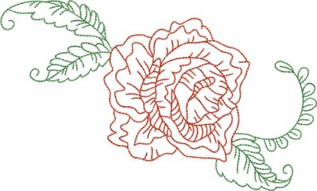 Picture of Delicate Rose Outline