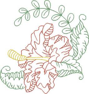 Picture of Hibiscus Outline