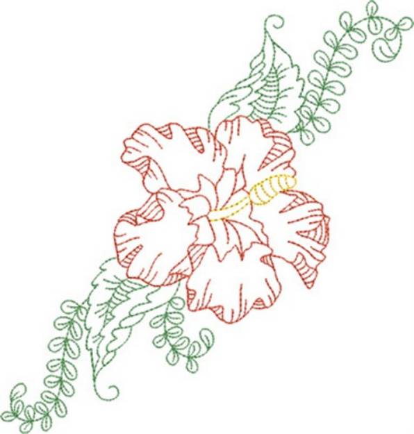 Picture of Hibiscus Border Outline