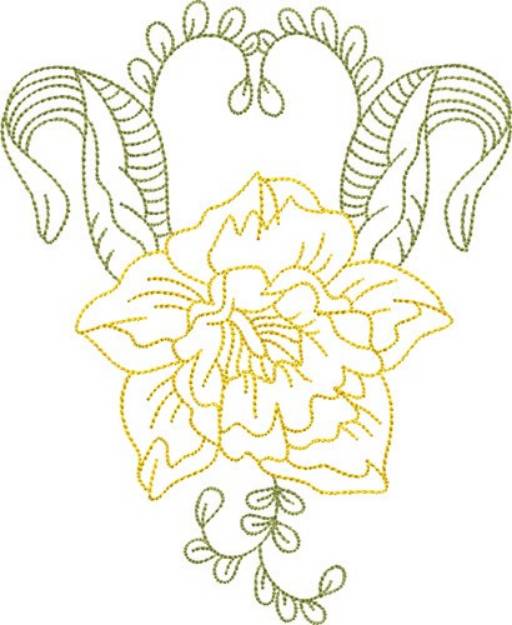 Picture of Daffodil Outline