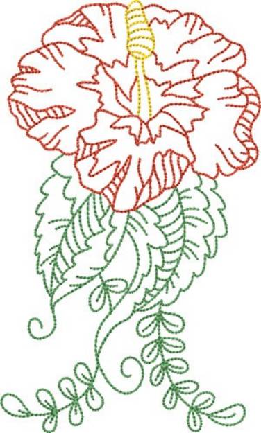 Picture of Pretty Hibiscus Outline