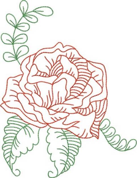 Picture of Rose Bloom Outline