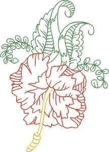 Picture of Hibiscus Flower Outline