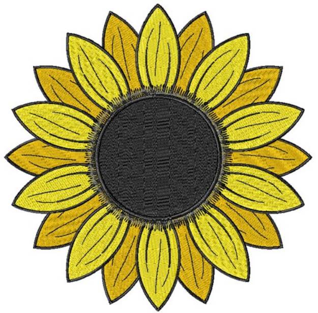 Picture of Sunflower