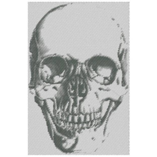 Picture of SKULL