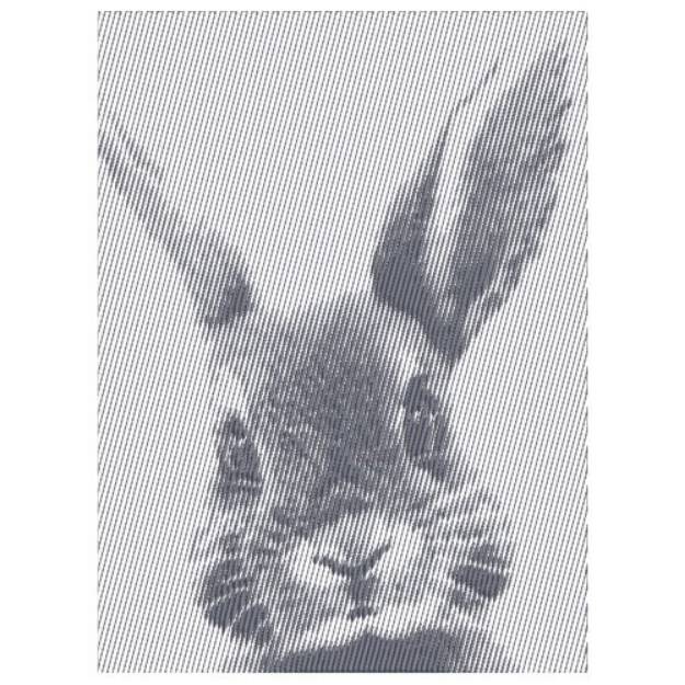 Picture of BUNNY RABBIT Machine Embroidery Design