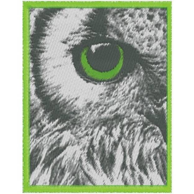 Picture of Owl Eye