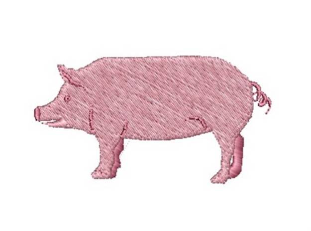 Picture of Pig