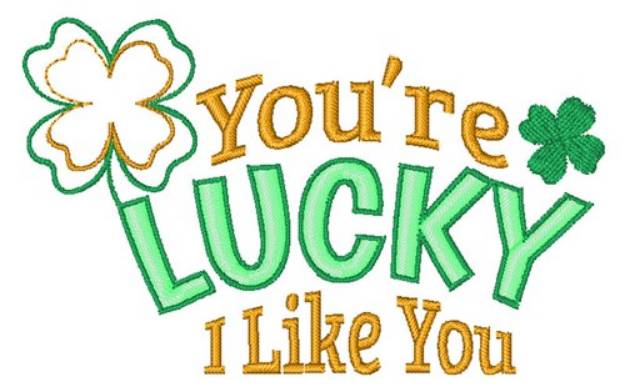 Picture of Youre Lucky I Like You Machine Embroidery Design
