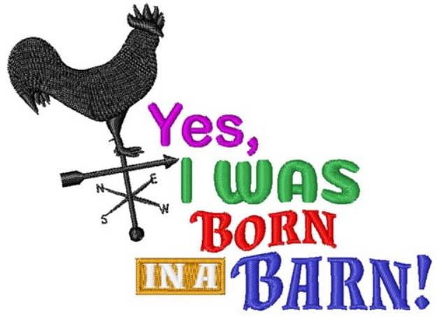 Picture of Born In Barn