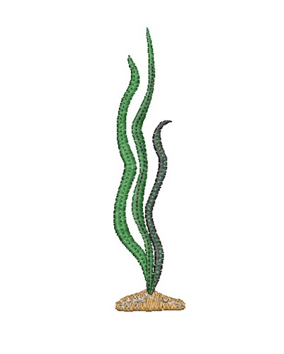 Seaweed Plant Machine Embroidery Design