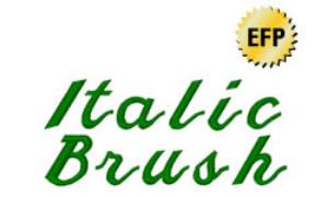 Picture of Italic Brush Embroidery Font
