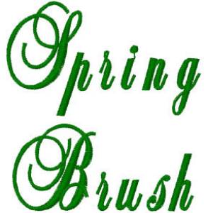Picture of Spring Brush Embroidery Font