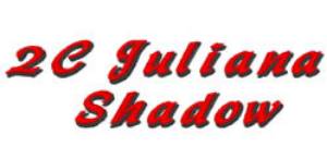 Picture of 2C Juliana Shadow Embroidery Font