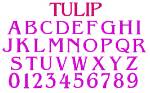 Picture of Tulip Embroidery Font