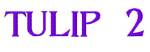 Picture of Tulip2 Embroidery Font