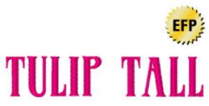 Picture of Tulip Tall Embroidery Font