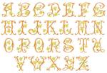 Picture of Monograms 16 Embroidery Font