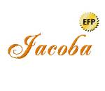 Picture of Jacoba Embroidery Font