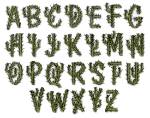 Picture of Cactus Font Embroidery Font