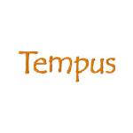 Picture of Tempus Embroidery Font