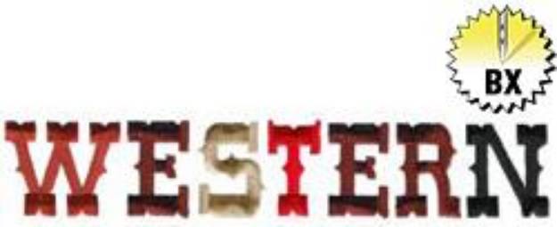 Picture of Western Embroidery Font