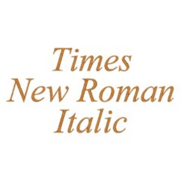 Picture of AMD Times New Roman Italic Embroidery Font
