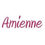 Picture of AMD Amienne Embroidery Font