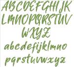 Picture of AMD Acupunctuism Embroidery Font