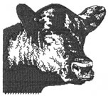 Beef Square Machine Embroidery Design