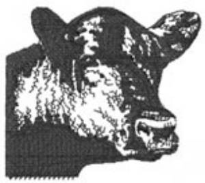 Picture of Beef Square Machine Embroidery Design