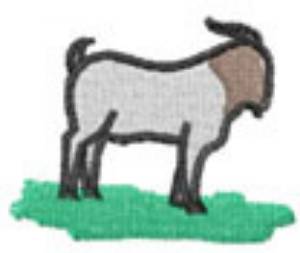 Picture of Boer Goat Machine Embroidery Design