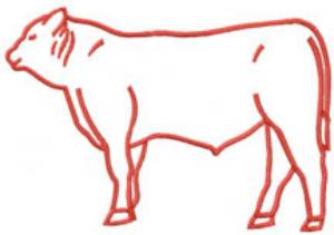 Picture of Calf Outline Large Machine Embroidery Design