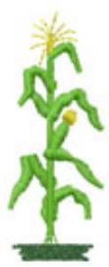 Picture of Corn Stalk Machine Embroidery Design