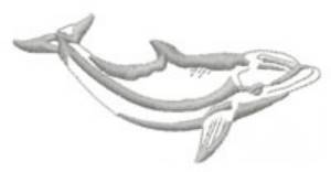 Picture of Dolphin Smile Machine Embroidery Design