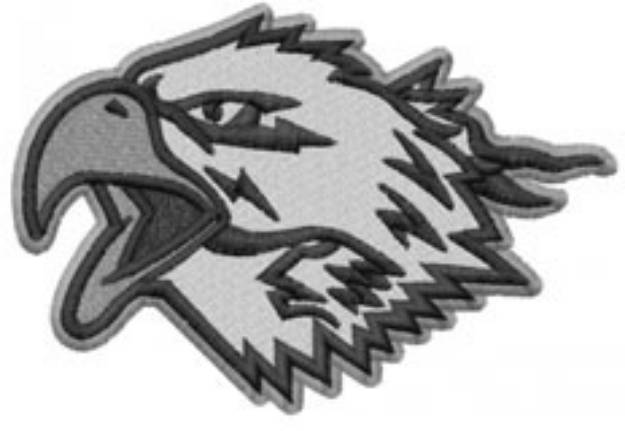 Picture of SCREAMING EAGLE Machine Embroidery Design