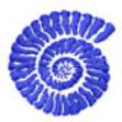 Picture of NAUTILUS SHELL Machine Embroidery Design