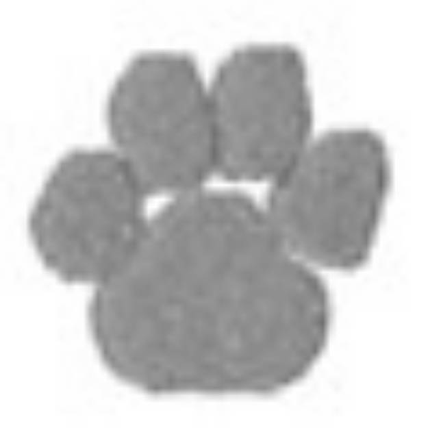 Picture of PAW PRINT (SMALL) Machine Embroidery Design