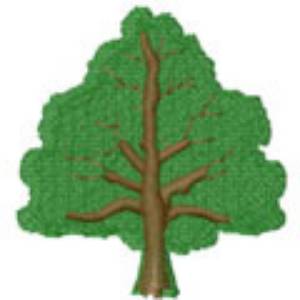 Picture of MAPLE TREE Machine Embroidery Design