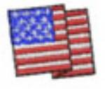 Picture of US FLAG 22mm Machine Embroidery Design
