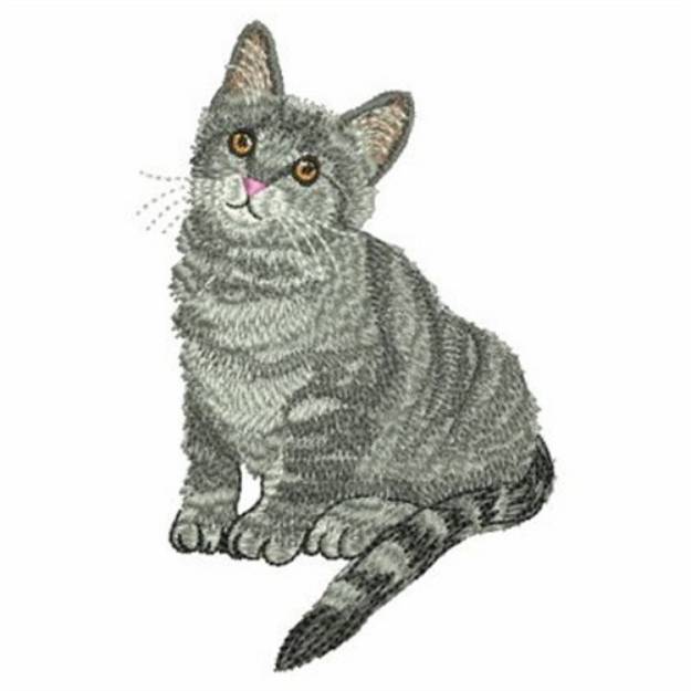 Picture of Gray Kitten Machine Embroidery Design