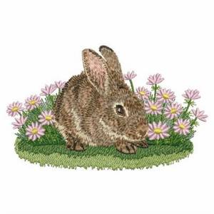 Picture of Brown Bunny Machine Embroidery Design
