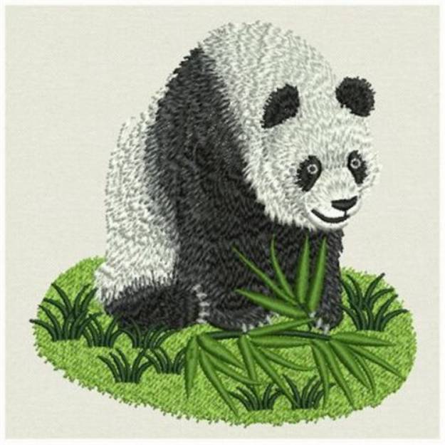 Picture of Cute Giant Panda Machine Embroidery Design