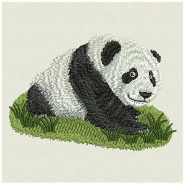 Picture of Chinese Panda Machine Embroidery Design