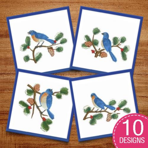 Picture of Backyard Bird Embroidery Design Pack