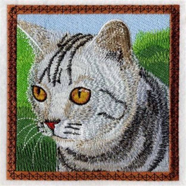 Picture of American Shorthair Machine Embroidery Design