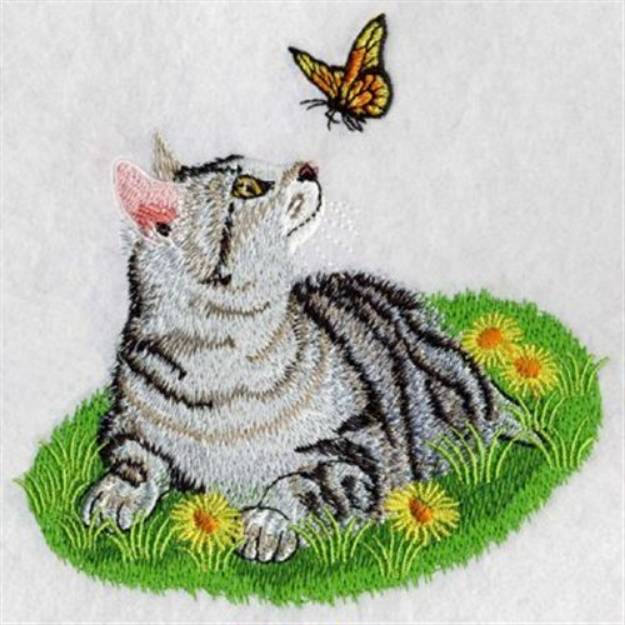 Picture of Curious American Shorthair Machine Embroidery Design